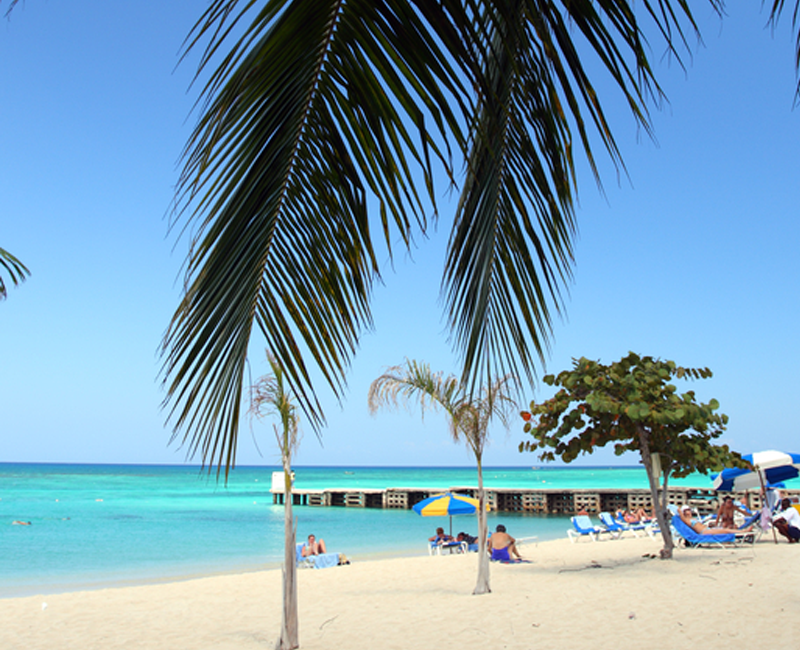 North American Holidays Palm Trees on Beach