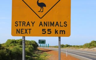 Australian Sign featuring Kangaroos and Emu