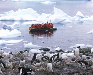 Rib boat in Antarctic